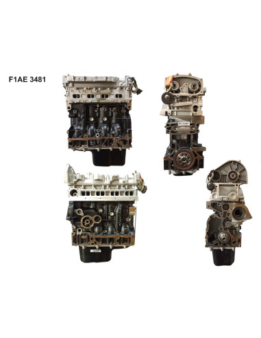 Motor F1AE3481 Fiat Ducato 150 Multijet 2.3D