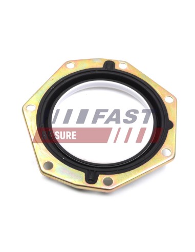 ANILLO FIAT DUCATO 02 CIGÜENAL TRASERO 177 X 114 X 15.8