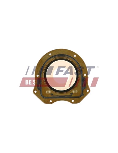 ANILLO FIAT DUCATO 06 CIGÜENAL TRASERO 2.2 TDCI