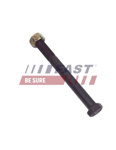 TORNILLO BRAZO OSCILANTE IVECO DAILY 06