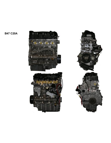 Motor bmw sdrive 20d x1 BMW X1 (F48)